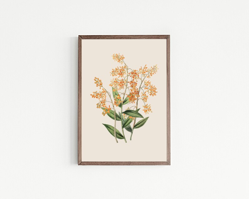 vintage botanical print | farmhouse wall decor | fall wall decor | french country decor | vintage wall art | kikiandnim | printable wall art image 4