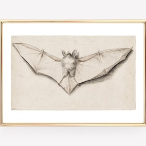 light academia decor vintage bat print vintage halloween decor gothic decor vampire aesthetic print kikiandnim digital print image 1