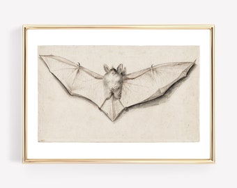light academia decor | vintage bat print | vintage halloween decor | gothic decor | vampire aesthetic print | kikiandnim | digital print