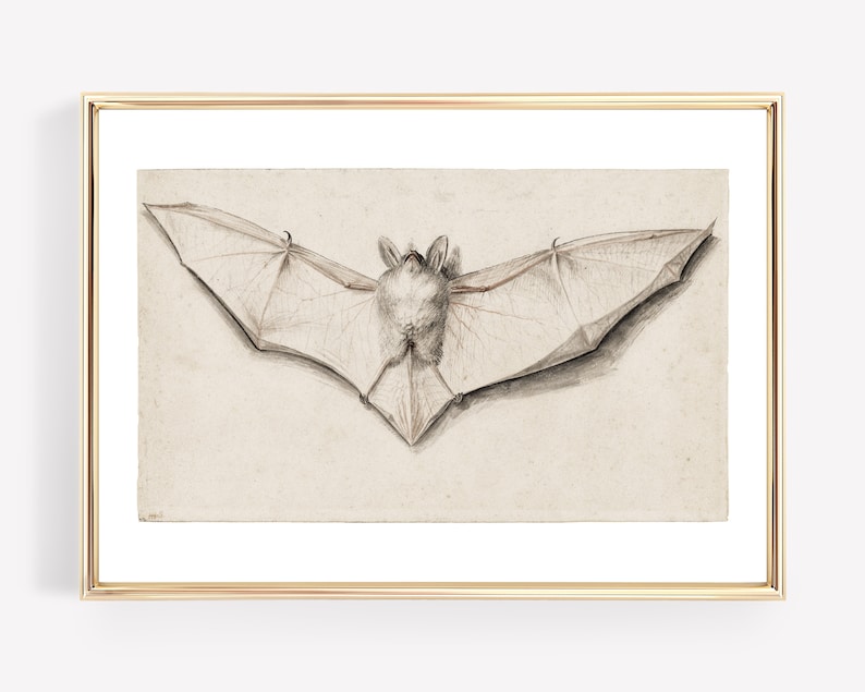 light academia decor vintage bat print vintage halloween decor gothic decor vampire aesthetic print kikiandnim digital print image 1