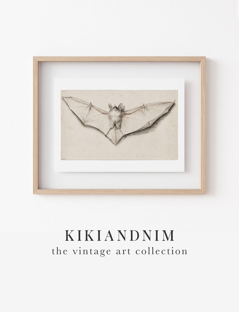 light academia decor vintage bat print vintage halloween decor gothic decor vampire aesthetic print kikiandnim digital print image 10