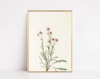 pink wall art | wildflower print | vintage botanical print | pink boho wall art | girls room decor | kikiandnim | printable wall art