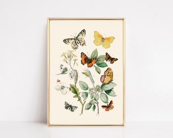 vintage butterfly print | nursery wall art | eclectic wall art | butterfly wall art | vintage botanical art | vintage art | digital print