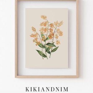 vintage botanical print | farmhouse wall decor | fall wall decor | french country decor | vintage wall art | kikiandnim | printable wall art image 8