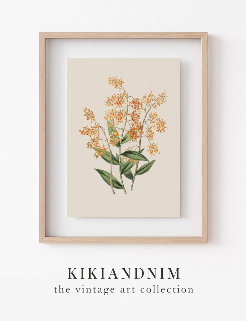 vintage botanical print | farmhouse wall decor | fall wall decor | french country decor | vintage wall art | kikiandnim | printable wall art image 8