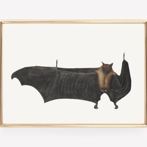 bat wall art | vintage halloween print | light academia decor | gothic home decor | halloween print | kikiandnim | digital print