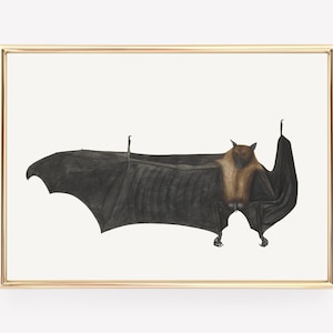 bat wall art | vintage halloween print | light academia decor | gothic home decor | halloween print | kikiandnim | digital print