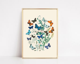 butterfly print | vintage nursery wall art | butterfly wall art | vintage botanical art | vintage art print | kikiandnim | digital print