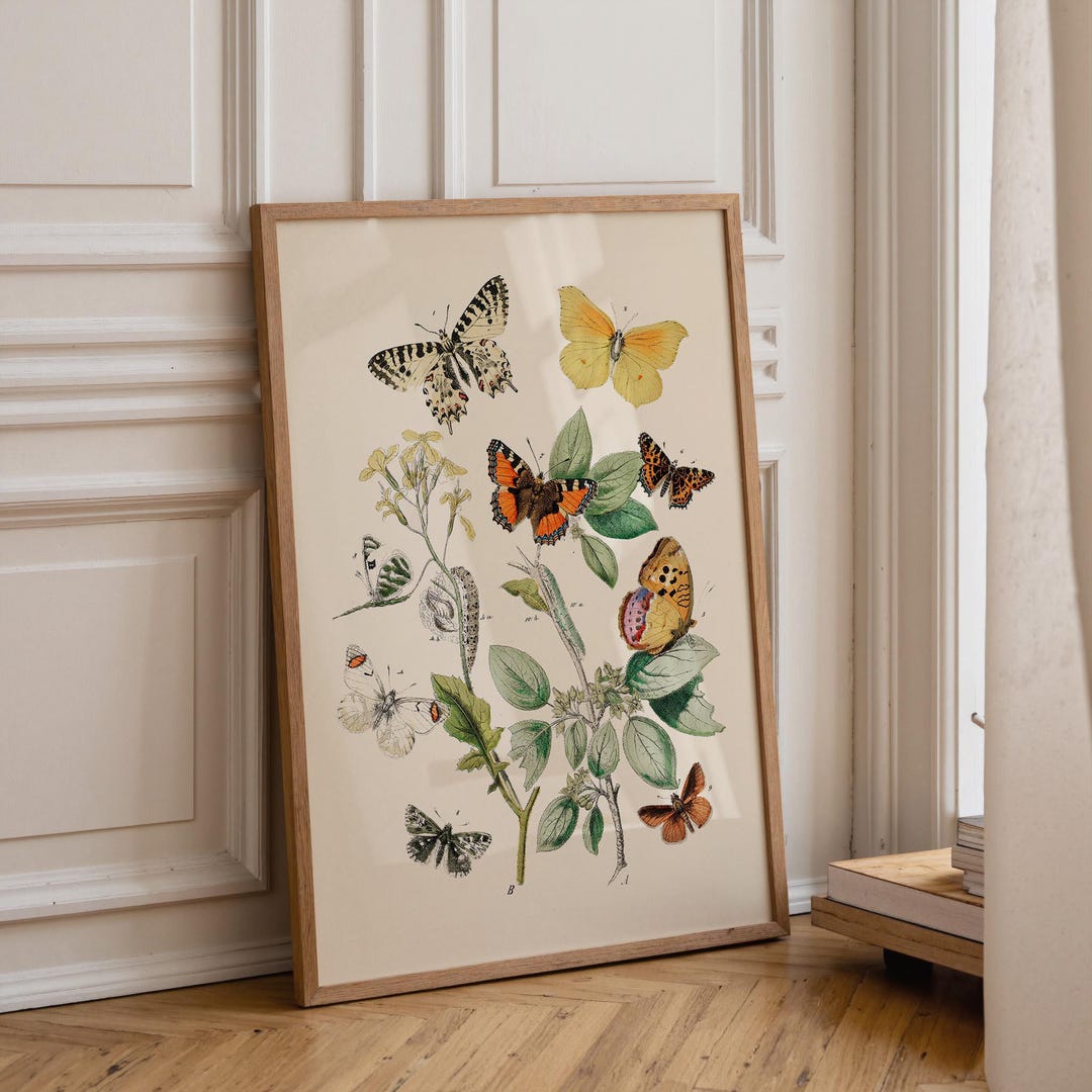 Botanical Nursery Wall Art | Vintage Butterfly Print | Girls Room Decor ...