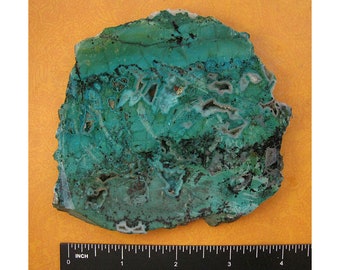 Chrysocolla Freeform Cabochon from the Inspiration Mine in Arizona 30x34x4mm