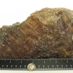 May include: A large, irregularly shaped rock with a rough, textured surface. The rock is a mix of brown, orange, and green colors. A ruler is placed below the rock for scale. The ruler is marked in inches.