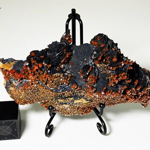May include: A mineral specimen featuring a dark gray matrix with clusters of small, vibrant orange crystals. The specimen is displayed on a black metal stand. A black cube with measurement markings is to the left.