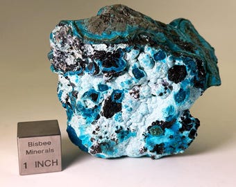 May include: A large, rough, blue and black mineral specimen with a white background. A 1-inch cube is included for scale. "Bisbee Minerals" is printed on the cube.
