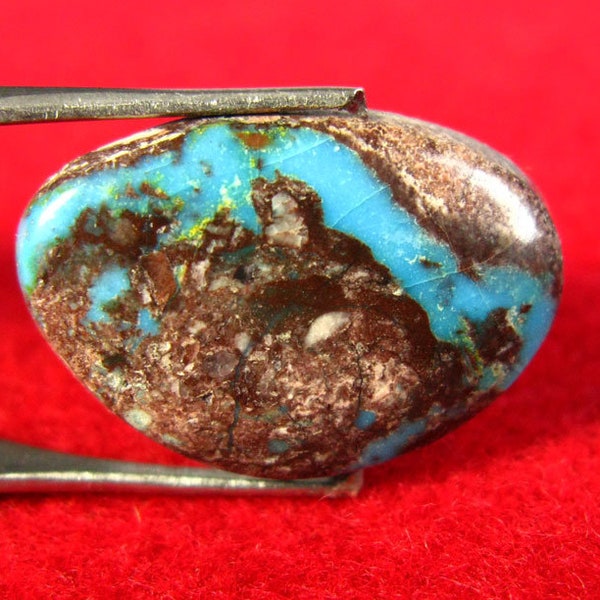 Turquoise Bisbee Cab Cabochon - 14ct. Gemologist Certified - From The Mine