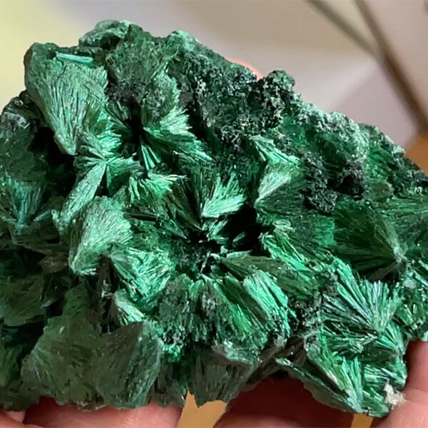 Malachite Fibrous Top Shelf - Large 260g Hand-Picked A+ Stunning Specimen - Congo Africa! See Video!