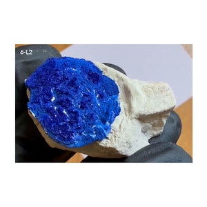 Può includere: Un esemplare minerale grezzo caratterizzato da un grappolo di cristalli blu intenso e vibrante incastonato in una matrice rocciosa ruvida color bianco sporco. La superficie della sezione blu mostra un aspetto granuloso e strutturato con piccole sfaccettature riflettenti. Il testo 6-L2 è visibile.