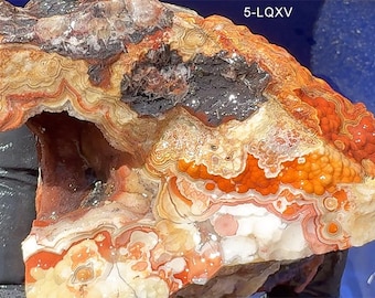 Large Top Quality Druzy Mexican Crazy Lace Agate Palmstone. Lace