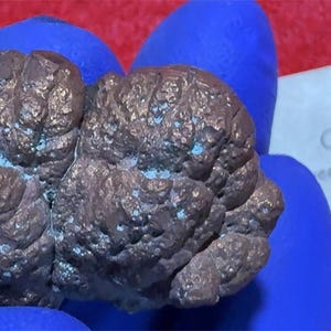May include: A close-up of a copper specimen with a textured, irregular surface. The copper has a dark brown color with patches of blue-green oxidation. A small tag reads "Copper, Keweenaw Peninsula, Michigan."