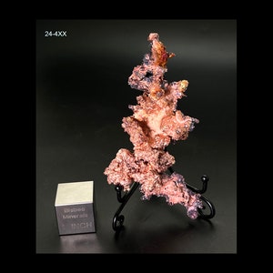 May include: A large, intricate, copper specimen with a dendritic, tree-like structure. The copper is a reddish-brown color with some areas of iridescent purple and green. The specimen is displayed on a black metal stand. A 1-inch cube is included for scale. "Bisbee Minerals" is printed on the cube.