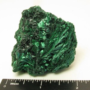 Può includere: Un esemplare di malachite verde con una texture a foglia simile a una felce. L'esemplare è largo circa 5 cm e alto 5 cm.