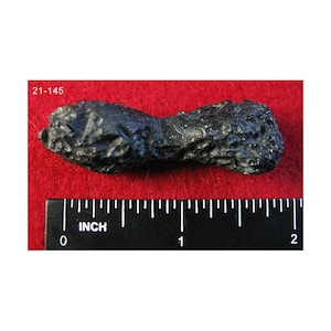 Tektite Rare 20mm A+ Meteorite Generated Indochinite - US Seller!