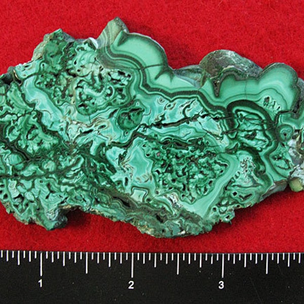 Malachite Slab From Stalactite - World Class Color & Patterns BIG 4.9" Polished Both Sides!