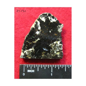 Può includere: Una roccia nera e bianca con una texture ruvida. La roccia è larga circa 2,5 cm. 21-75J è scritto su uno sfondo rosso.