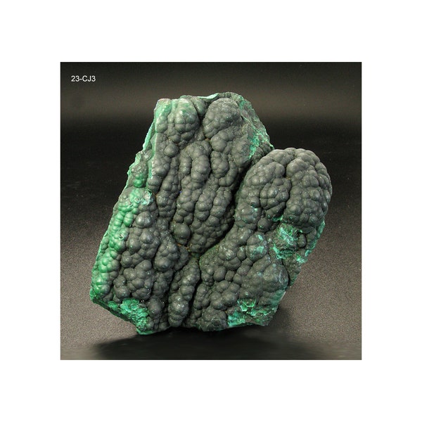 Bisbee Malachite Specimen | Rare Mine Specimen | Unusual Botryoidal Presentation | Nice 50mm