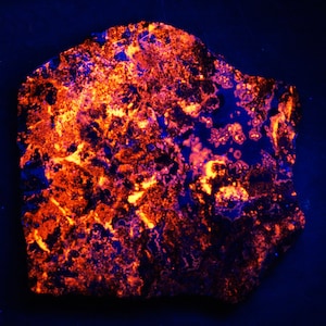 May include: A close-up of a dark, rough-textured rock with bright orange and yellow fluorescent markings. The rock is illuminated with a UV light, causing the markings to glow.