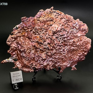 May include: A large, iridescent, copper mineral specimen with a rough, textured surface. The mineral is displayed on a black stand with a 1-inch ruler for scale. The label reads "Bisbee Minerals".