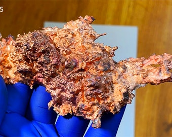May include: A raw copper specimen with a textured, organic shape. The copper displays a range of colors, from bright orange to dark brown, with areas of iridescence. The text "24-5ER5" is visible in the upper left corner. The specimen is held by a gloved hand.