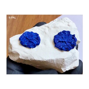 Può includere: Due esemplari minerali di azzurrite circolari, di un blu profondo e vibrante, con una superficie cristallina testurizzata incastonata in una grande matrice rocciosa bianca opaca e irregolare. Il testo 6-PAL è stampato in alto a sinistra.