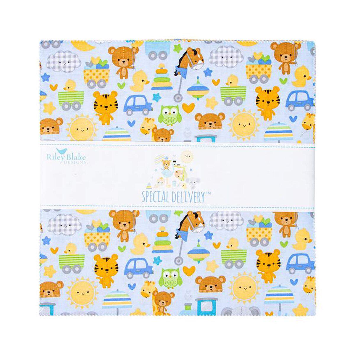 Baby Boy Quilt Fabric Bundle: Special Delivery Riley Blake 10" Stacker ...