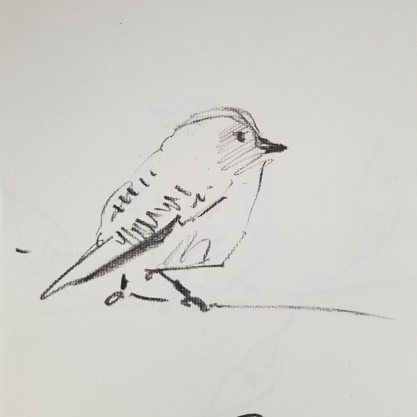 Jose Trujillo Original Charcoal - Paper Sketch Drawing 9x12 Minimalist Baby Bird