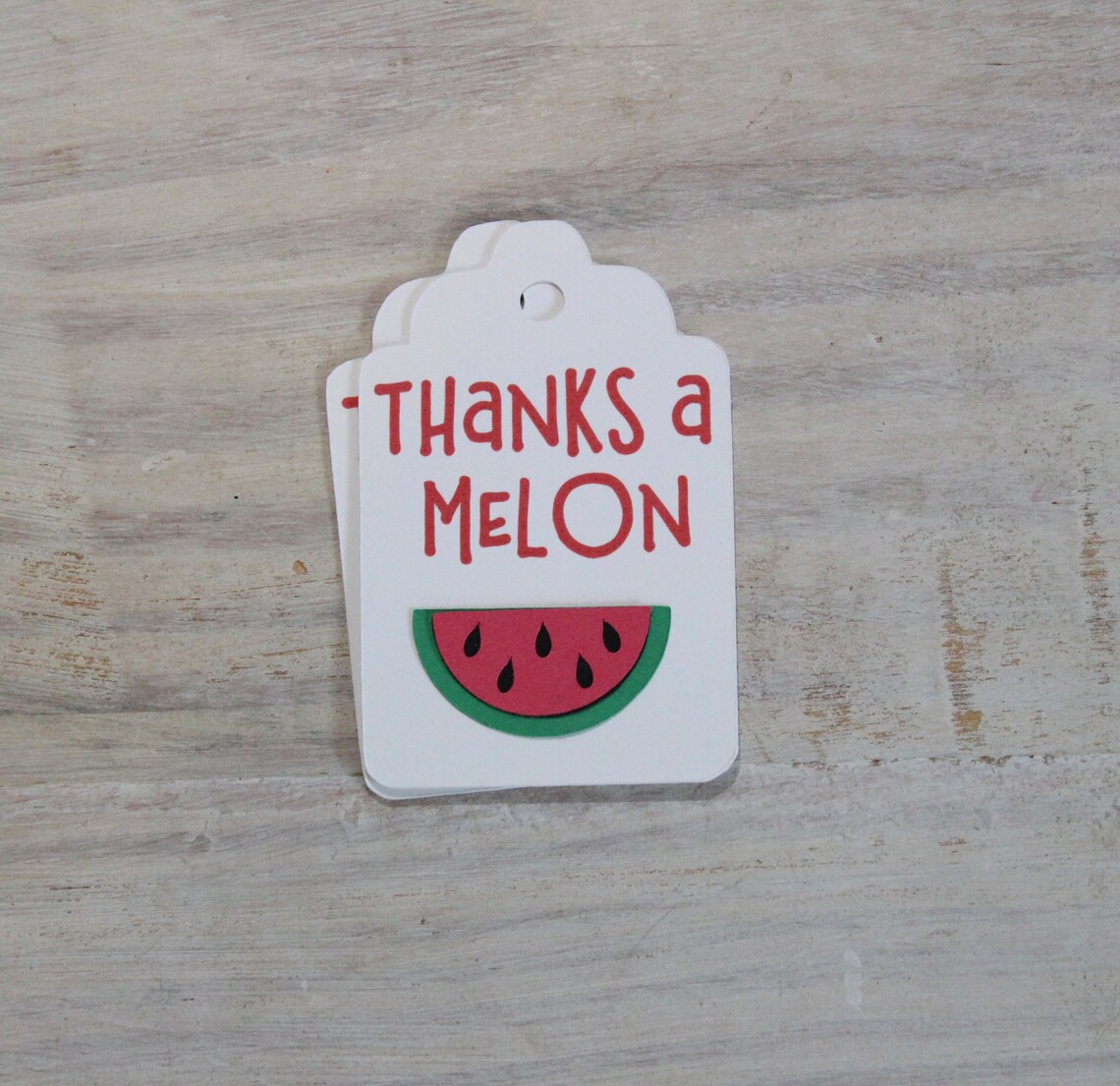 Thanks a Melon Favor Tags Set of 12 Watermelon Gift Tags One Etsy