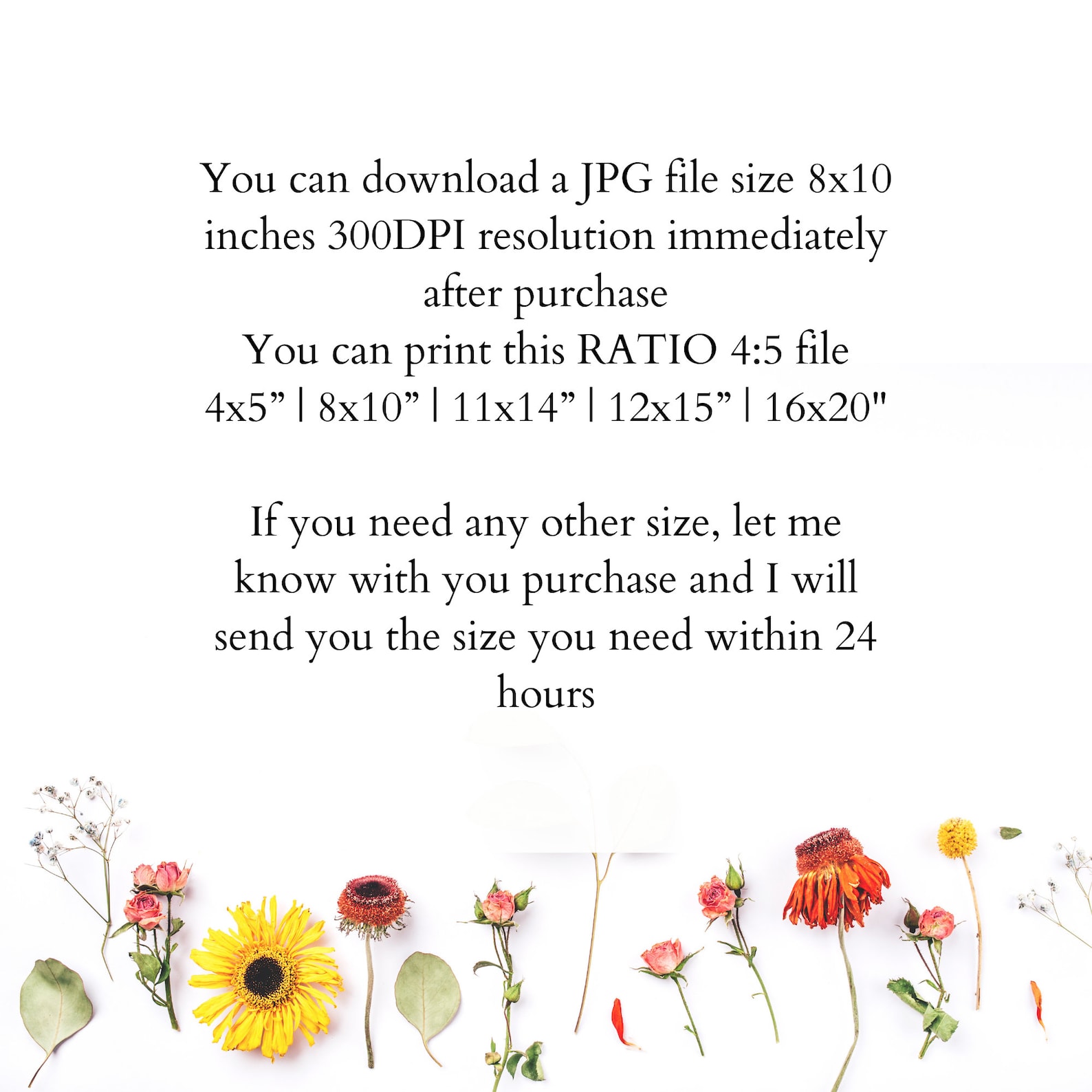 book png vector art