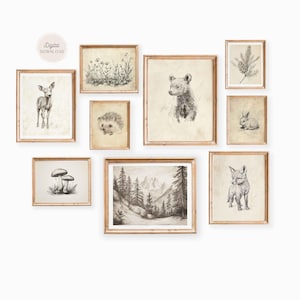 Stampa di animali disegnati, stampe della Cottagecore Nursery Gallery, arte murale del bosco, natura antica d'epoca, volpe, orso, fungo, coniglio, 9 collage artistici