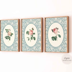 Impresión botánica vintage, arte de pared de 3 piezas de rosas, impresión artística para guardería de niña, pintura antigua, impresiones florales clásicas, jardín inglés