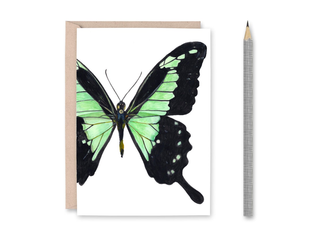 Butterfly Blank Greeting Card - Green Swallowtail - Etsy