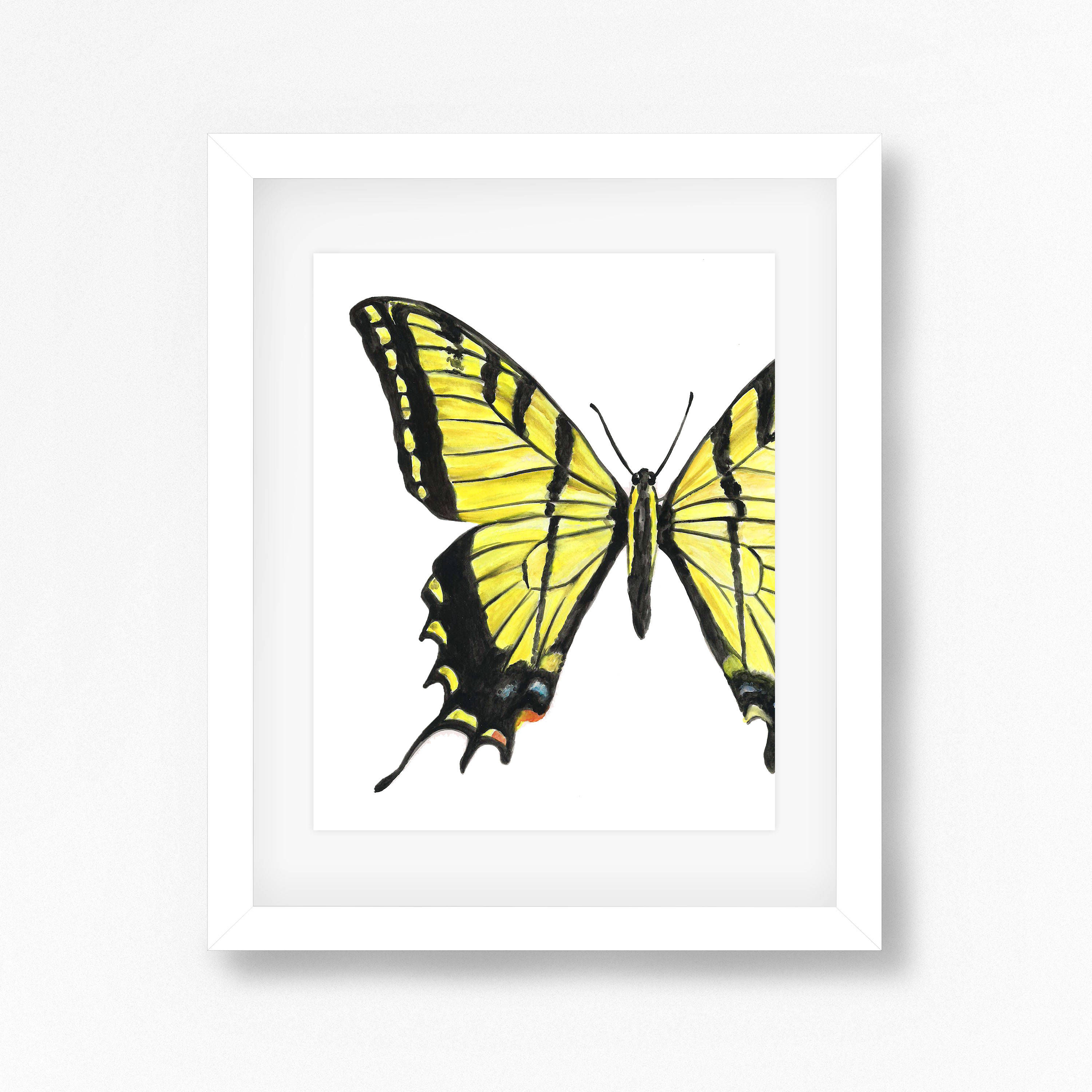 Eastern Tiger Swallowtail Butterfly Watercolor Fine Art Print - Etsy