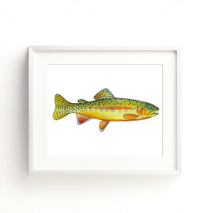 Golden Trout Fine Art Print