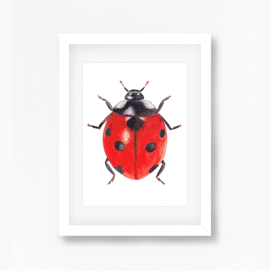 Ladybug Watercolor Art Print, 5x7 Insect Wall Decor - Etsy