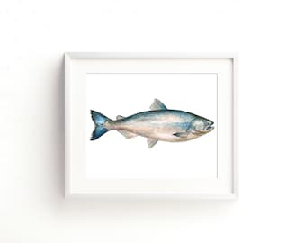 Salmon Watercolor Fine Art Print