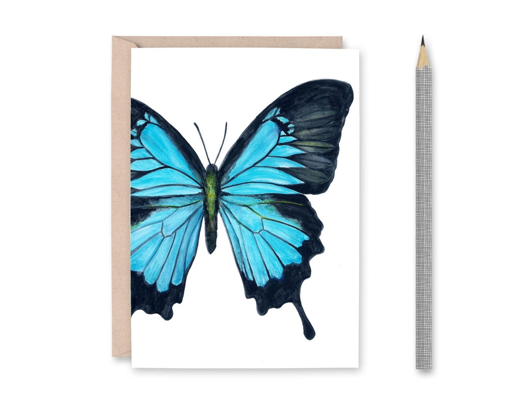 Butterfly Blank Greeting Card - Blue Swallowtail - Etsy