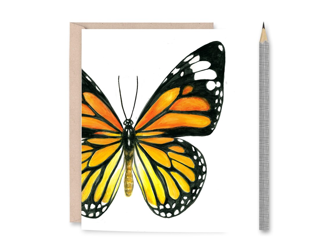 Assorted Butterfly Blank Greeting Cards - Etsy