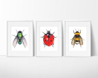 Set of 3 - Green Bottle Fly, Ladybug, and Bee Watercolor Prints