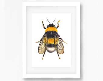 Bee Watercolor Art Print, Wildlife Illustration (5x7)