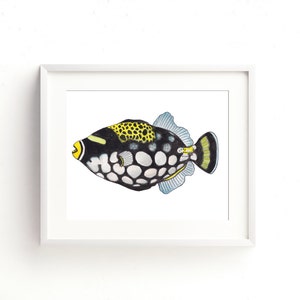Trigger Fish Watercolor Fine Art Print