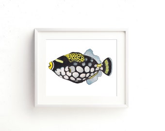 Trigger Fish Watercolor Fine Art Print