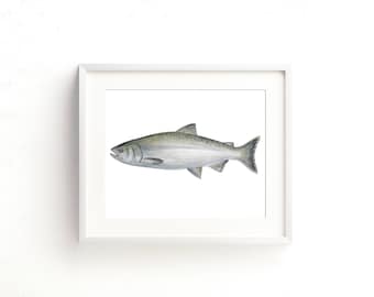 Impresión artística de acuarela de salmón Chinook